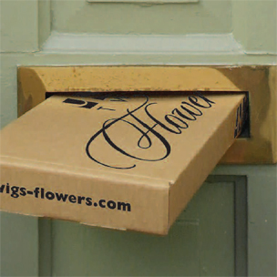 FlowerBoxPosted-v-VeryCropped-816x640